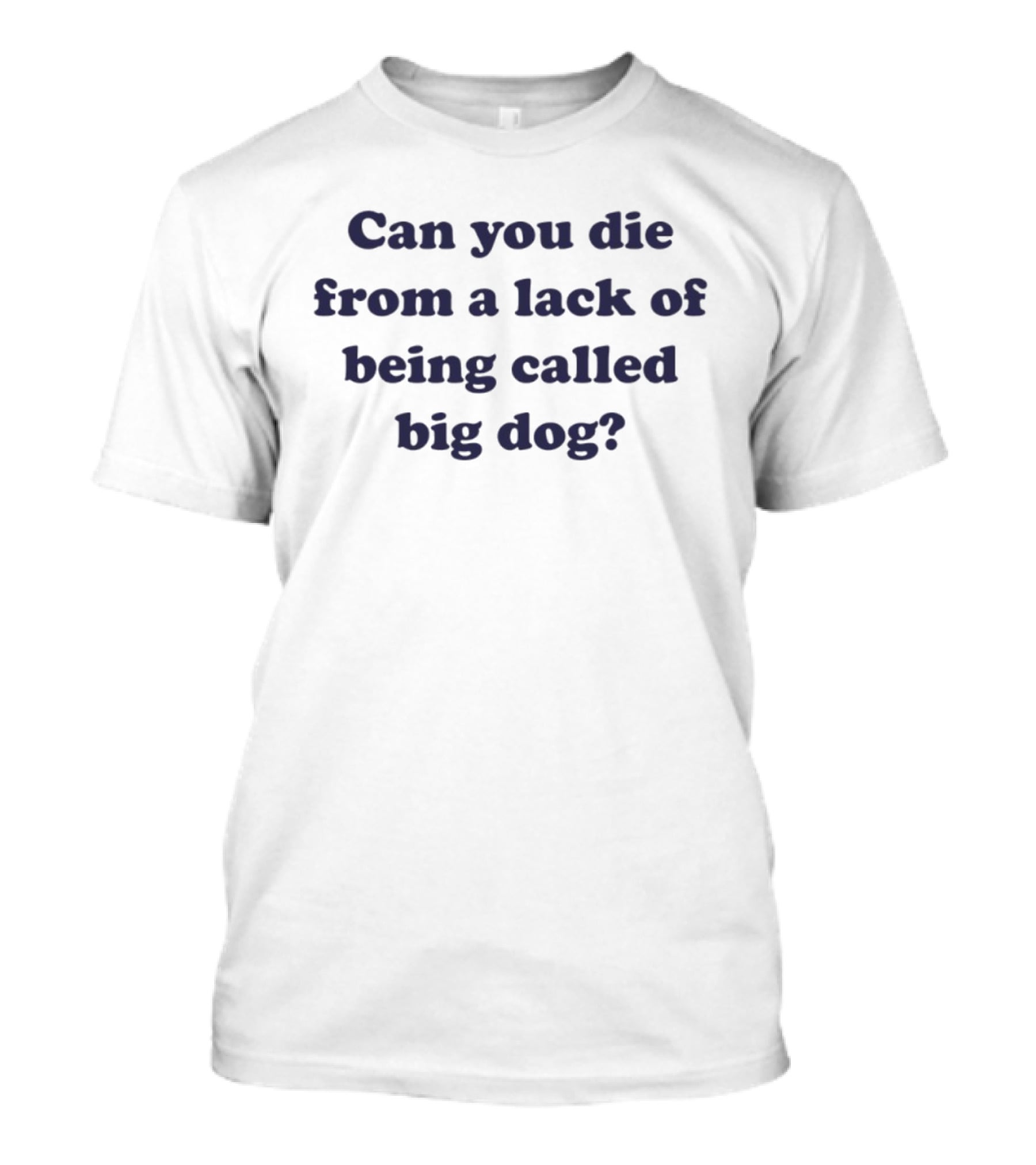 Can You Die From A Lack Of Being Called Big Dog T-Shirt