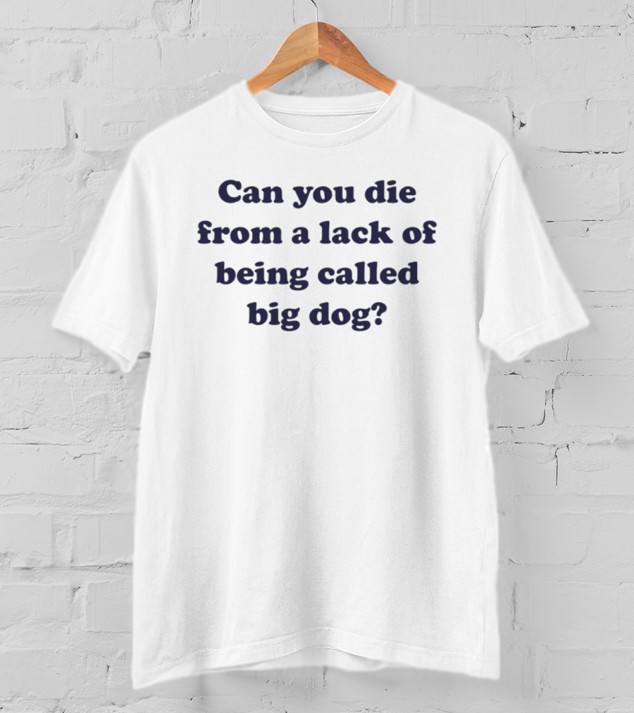 Can You Die From A Lack Of Being Called Big Dog T-Shirt