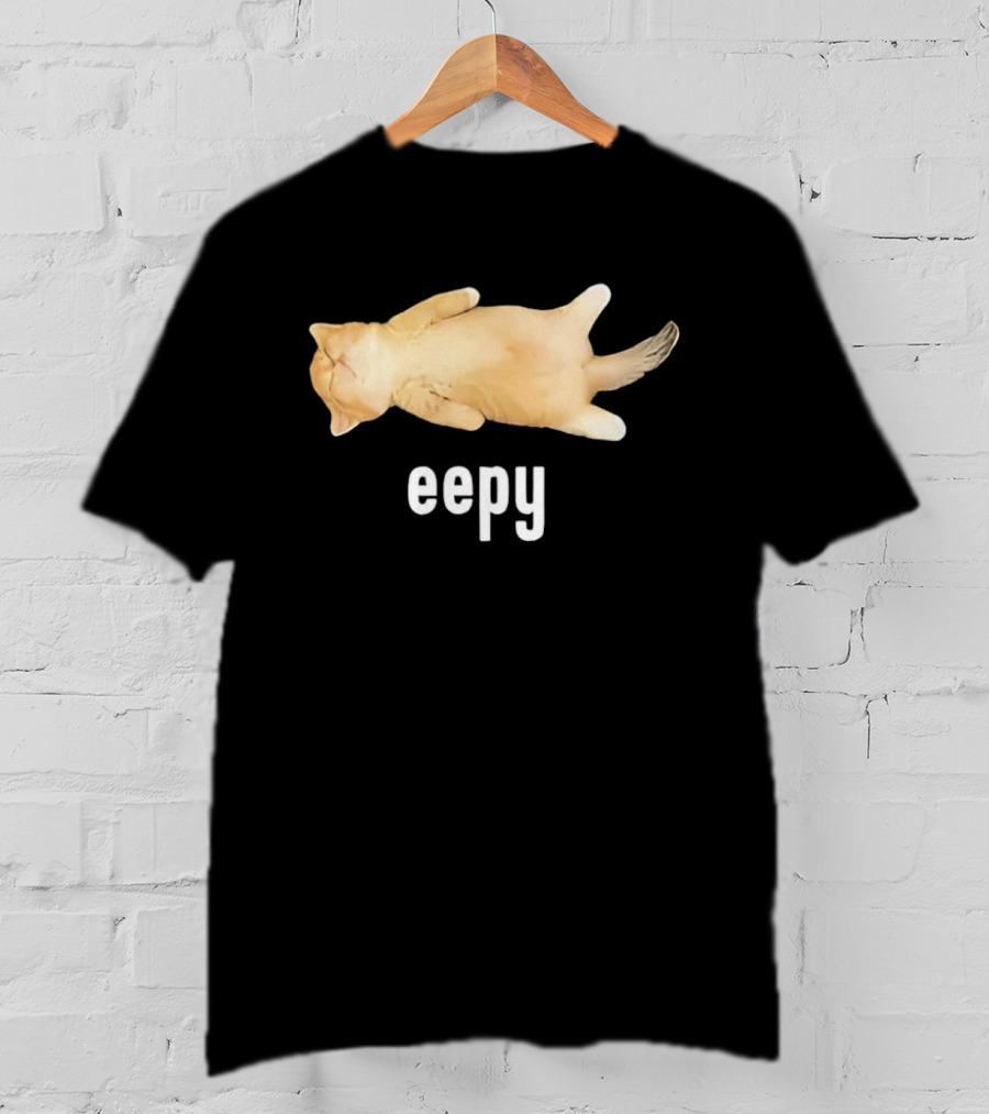 Eepy Sleeping Orange Kitten Cat Meme T-Shirt