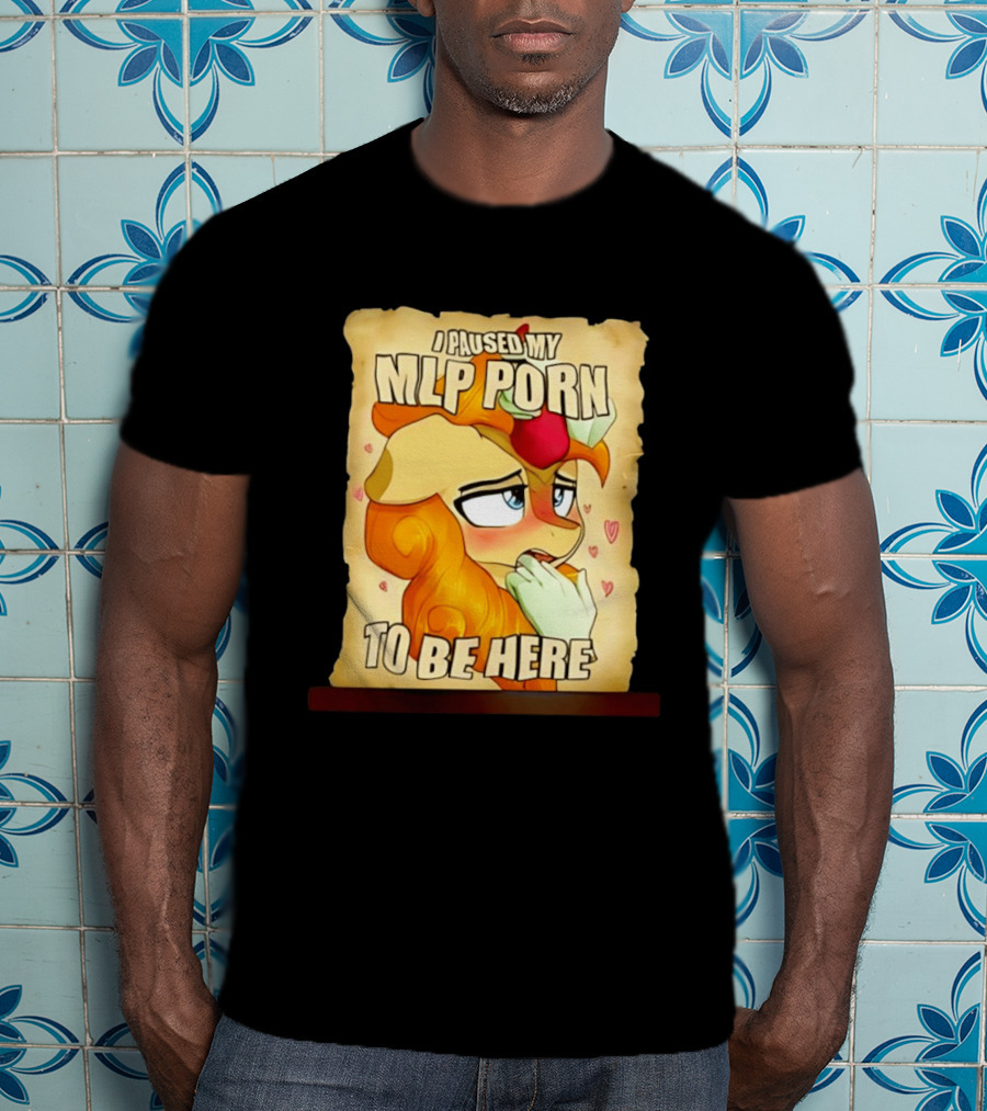I Paused My MLP Porn To Be Here My Little Pony T-Shirt