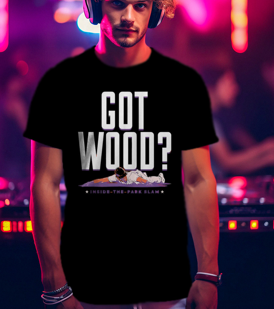 Washington Nationals Baseball Got Wood Inside The Park Slam T-Shirt