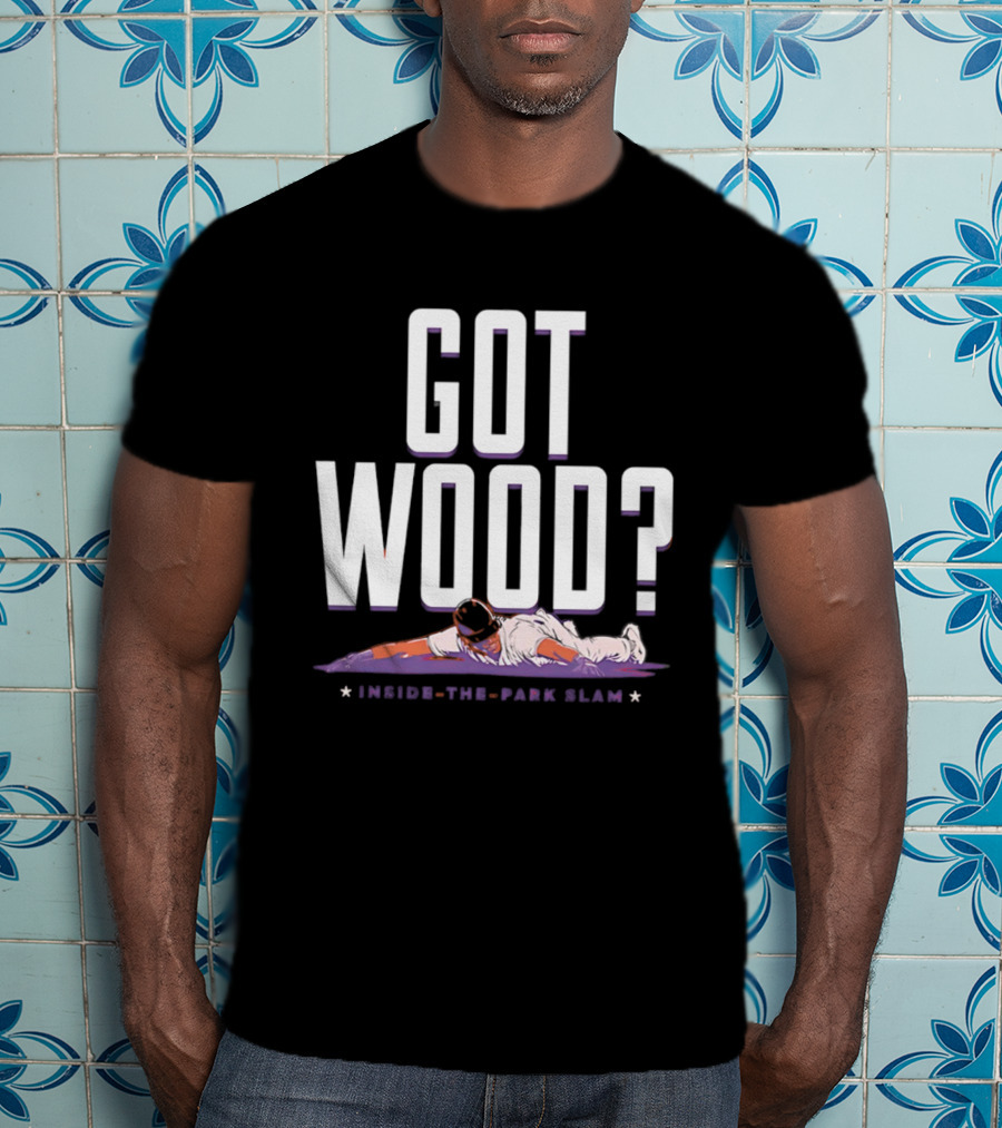 Washington Nationals Baseball Got Wood Inside The Park Slam T-Shirt