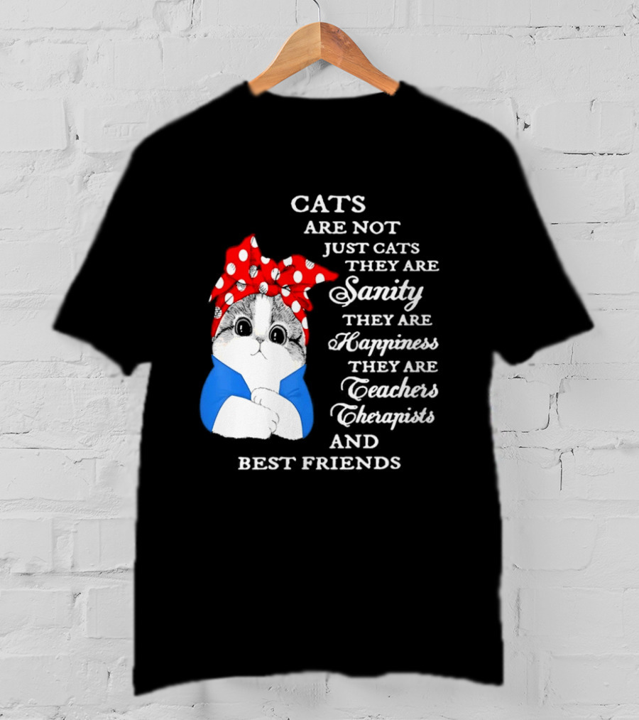 Cats Are Not Just Cats They Are Sanity Happiness Teachers Therapists Best Friends T-Shirt