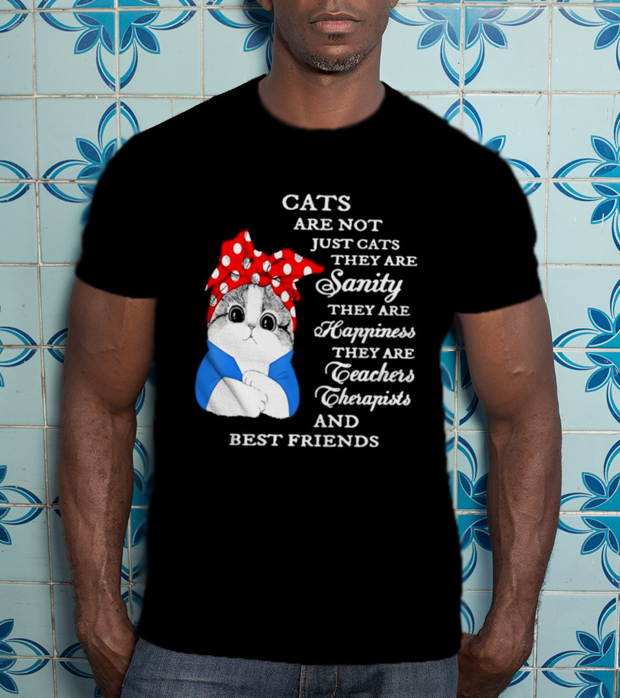 Cats Are Not Just Cats They Are Sanity Happiness Teachers Therapists Best Friends T-Shirt