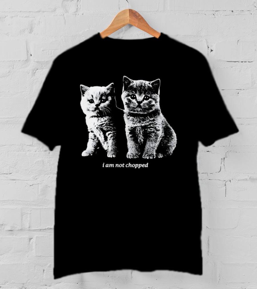 Jalen Brunson Karl Anthony Towns I Am Not Chopped Basketball Cats T-Shirt