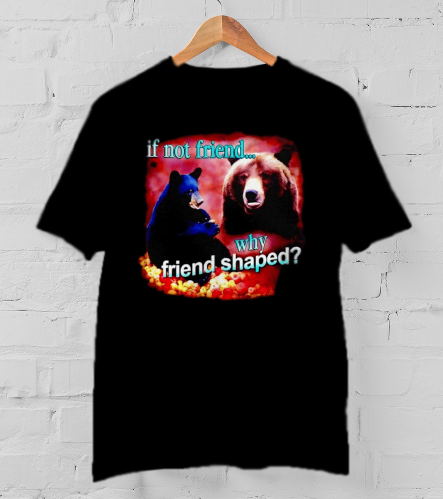 If Not Friend Why Friend Shaped Bear With Two Bears T-Shirt
