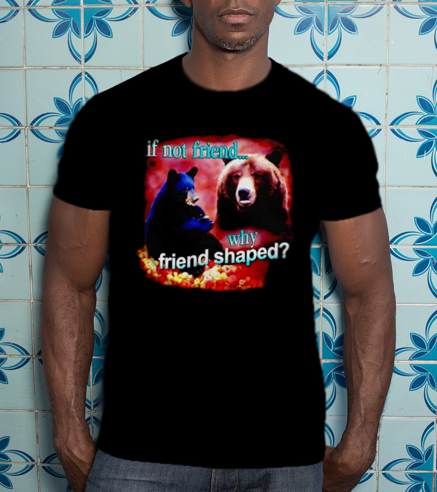 If Not Friend Why Friend Shaped Bear With Two Bears T-Shirt