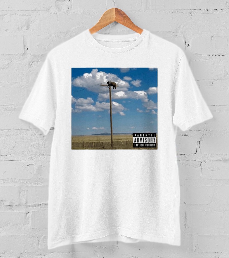 Bear On Top Of The Light Pole Parental Advisory Explicit Content Clouds Sky T-Shirt
