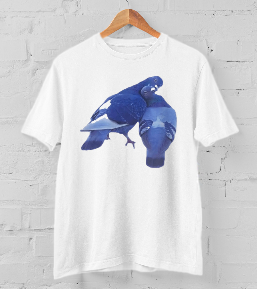 Love Doves Sports Banger Blue Pigeons Embrace T-Shirt
