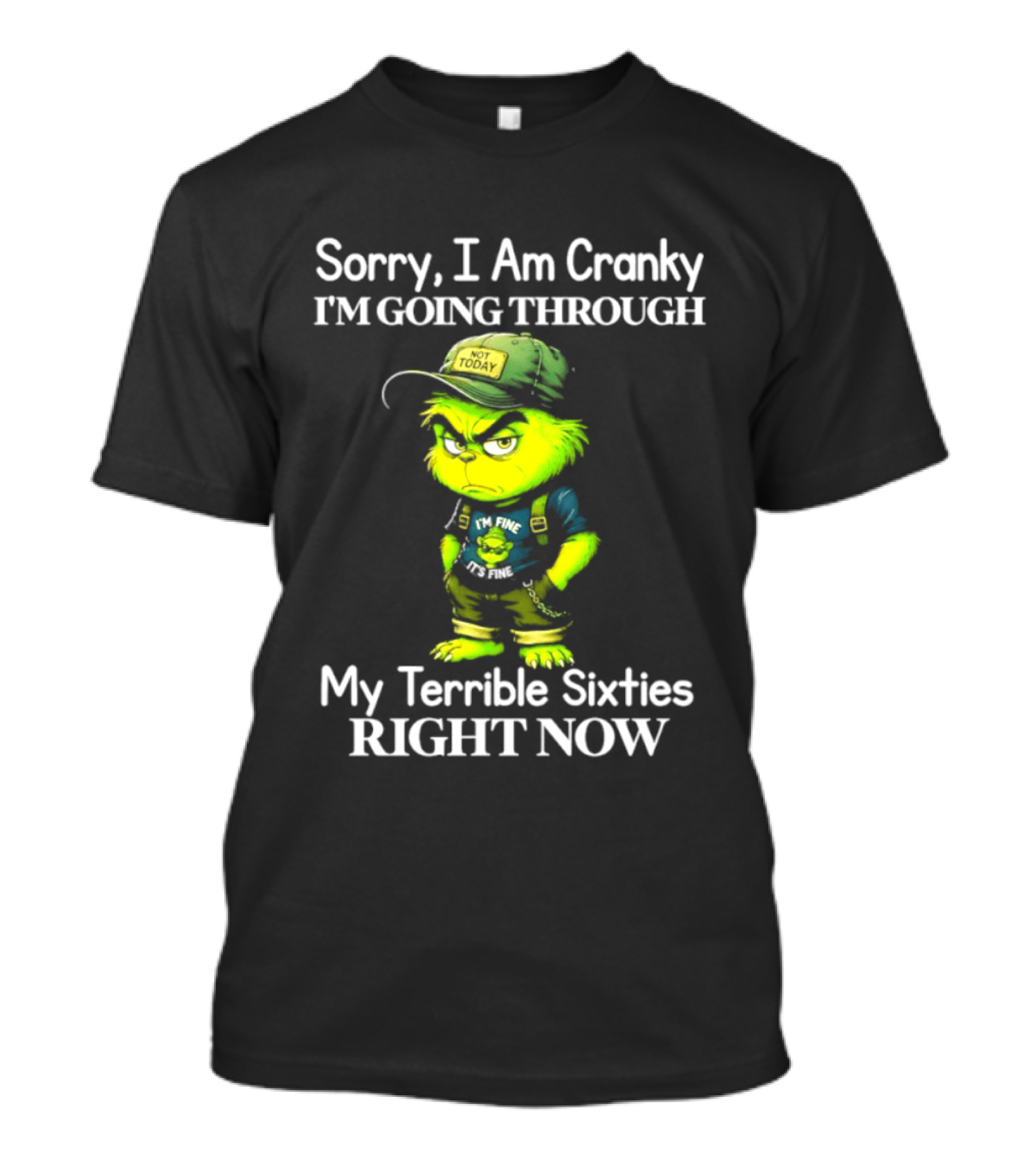 Sorry I Am Cranky I'm Going Through My Terrible Sixties Right Now T-Shirt
