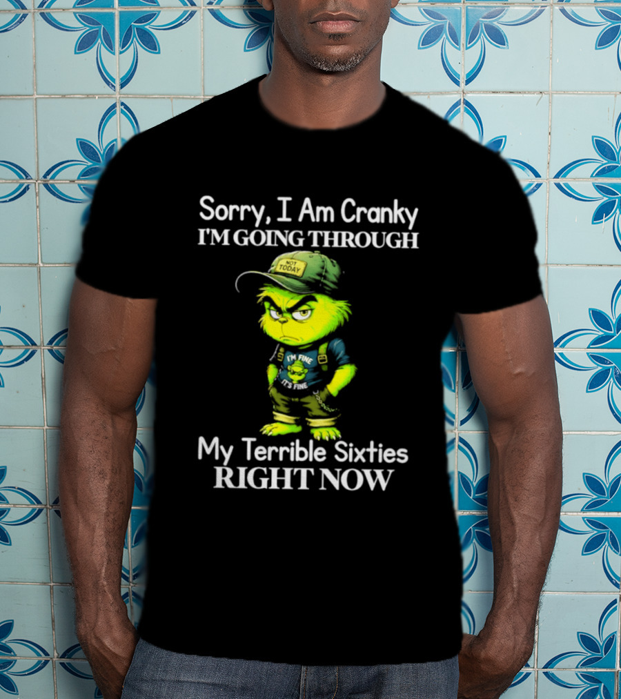 Sorry I Am Cranky I'm Going Through My Terrible Sixties Right Now T-Shirt