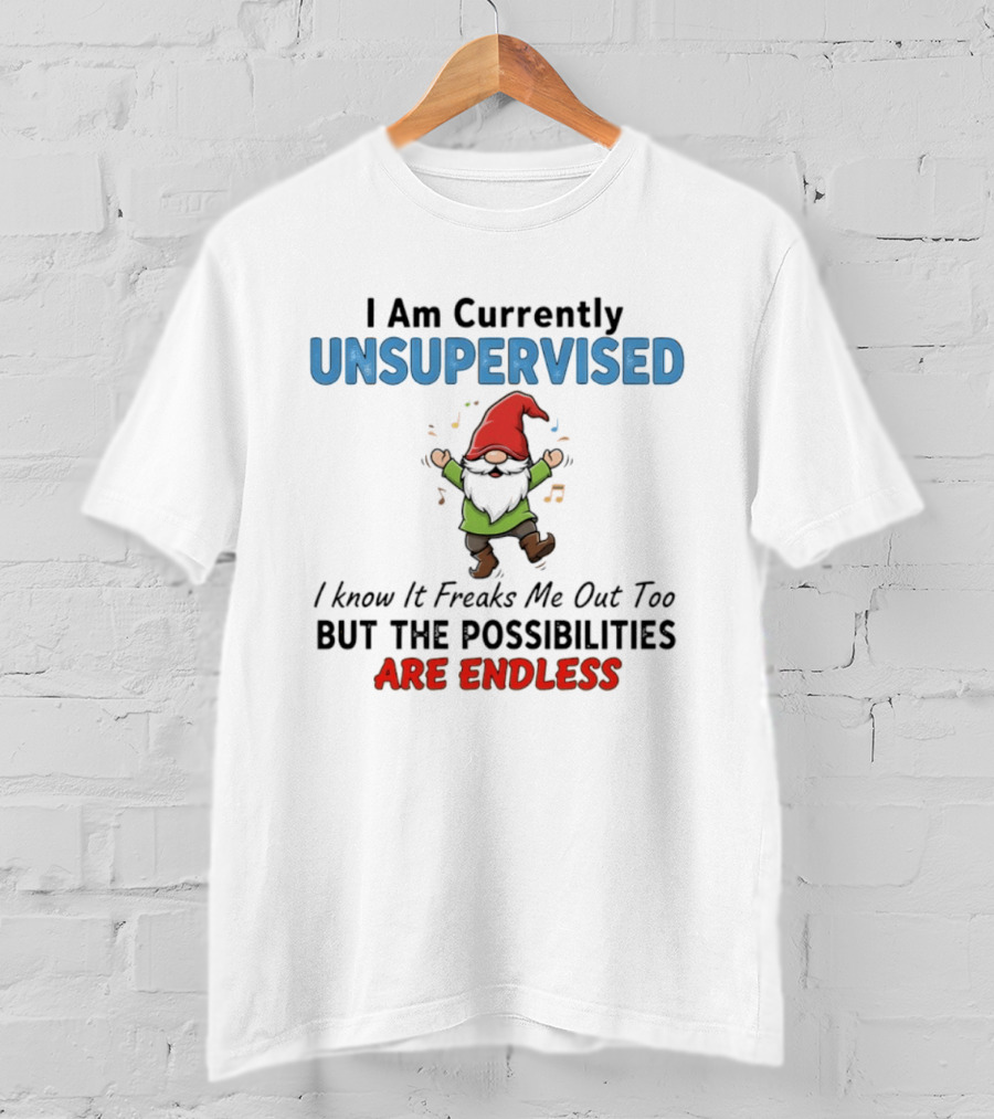 Unsupervised Gnome Christmas Possibilities Endless Fun T-Shirt