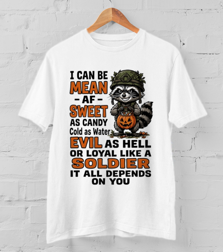 Raccoon I Can Be Mean AF Sweet As Candy Cold As Water Evil As Hell Or Loyal Like A Soldier It All Depends On You T-Shirt