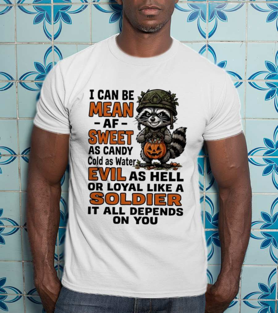 Raccoon I Can Be Mean AF Sweet As Candy Cold As Water Evil As Hell Or Loyal Like A Soldier It All Depends On You T-Shirt