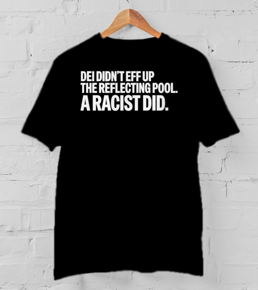 DEI Didn't Eff Up The Reflecting Pool A Racist Did T-Shirt