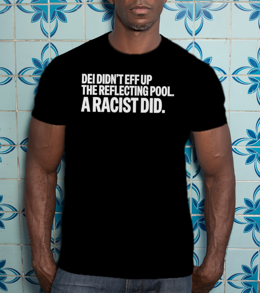 DEI Didn't Eff Up The Reflecting Pool A Racist Did T-Shirt