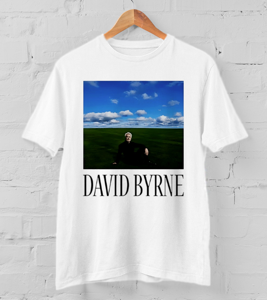 David Byrne Windows Wallpaper Meme T-Shirt