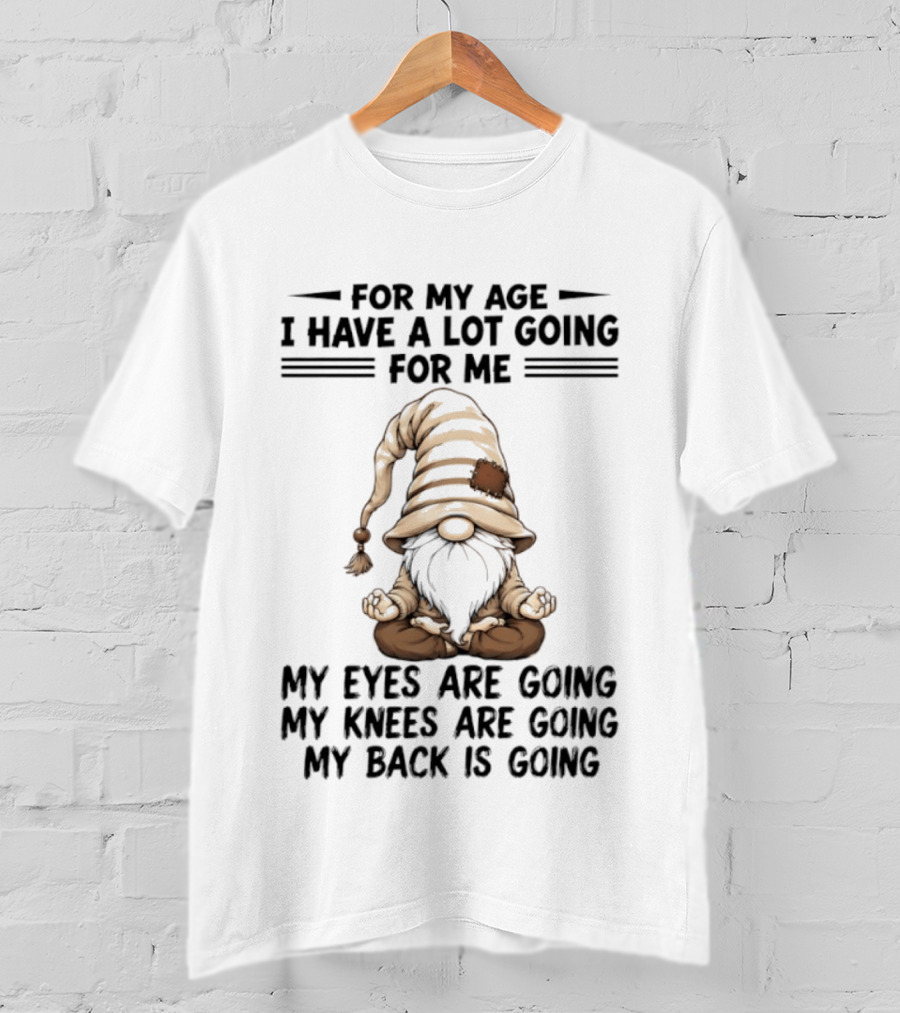 For My Age I Have A Lot Going For Me My Eyes Are Going My Knees Are Going My Back Is Going Gnome T-Shirt