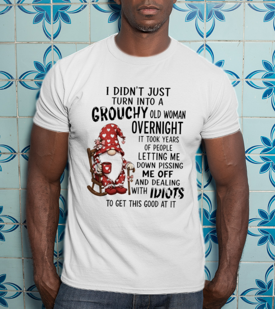 I Didn't Just Turn Into A Grouchy Old Woman Overnight Gnome Humor It Took Years Of People Letting Me Down Pissing Me Off And Dealing With Idiots T-Shirt