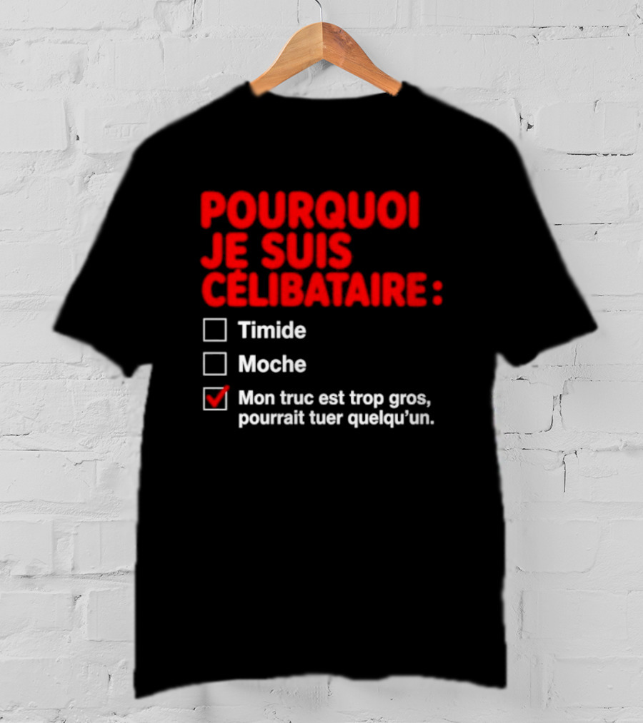 Pourquoi Je Suis Célibataire Mon Truc Est Trop Gros Pourrait Tuer Quelqu'un T-Shirt