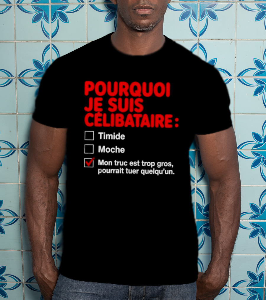 Pourquoi Je Suis Célibataire Mon Truc Est Trop Gros Pourrait Tuer Quelqu'un T-Shirt