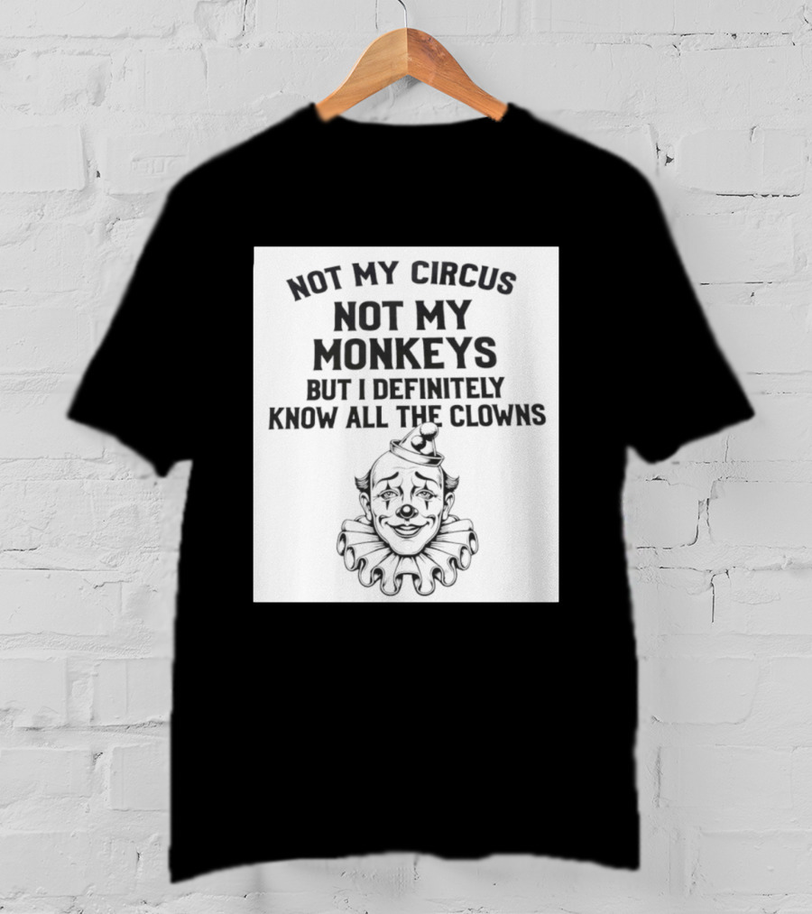 Not My Circus Not My Monkeys But I Definitely Know All The Clowns T-Shirt