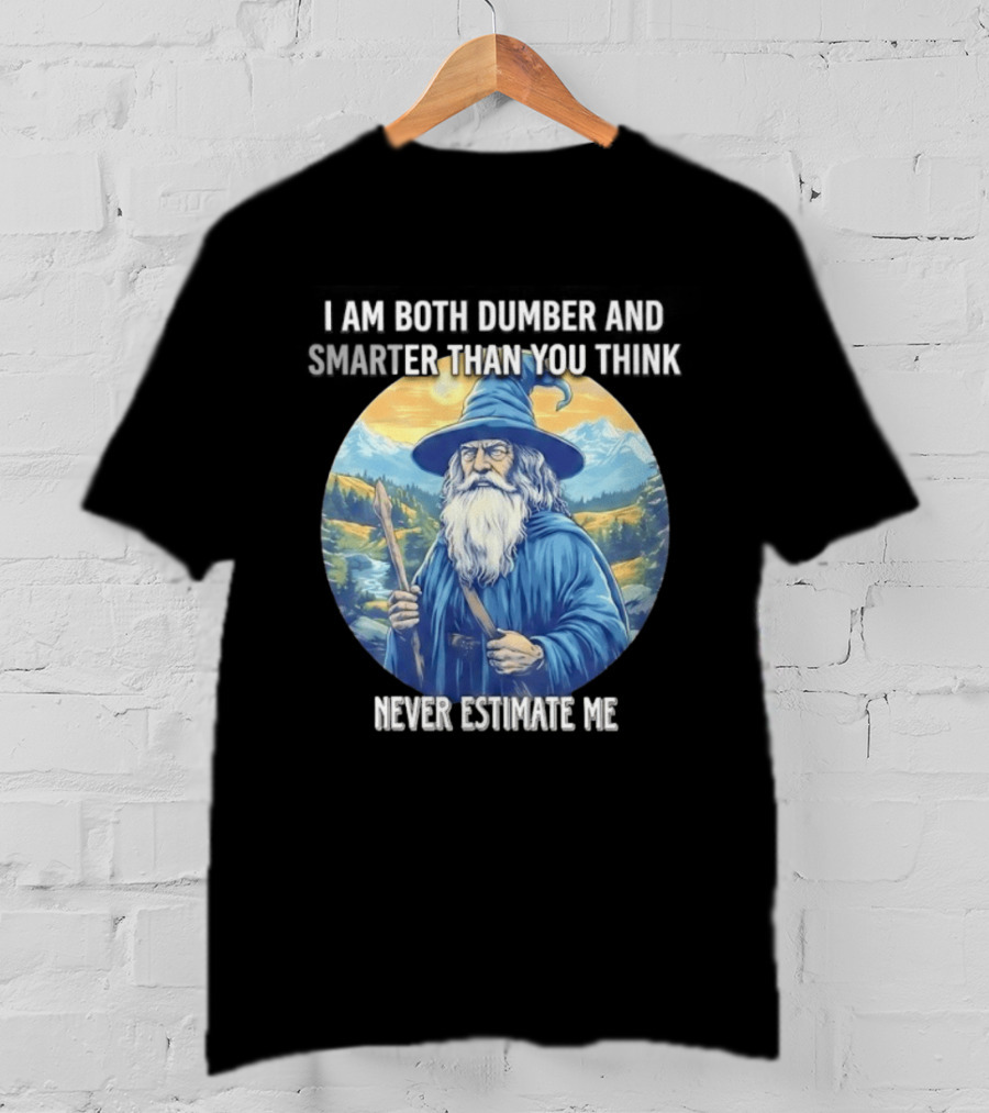 I Am Both Dumber And Smarter Than You Think Never Estimate Me Wizard Blue Robe And Hat Mountain T-Shirt