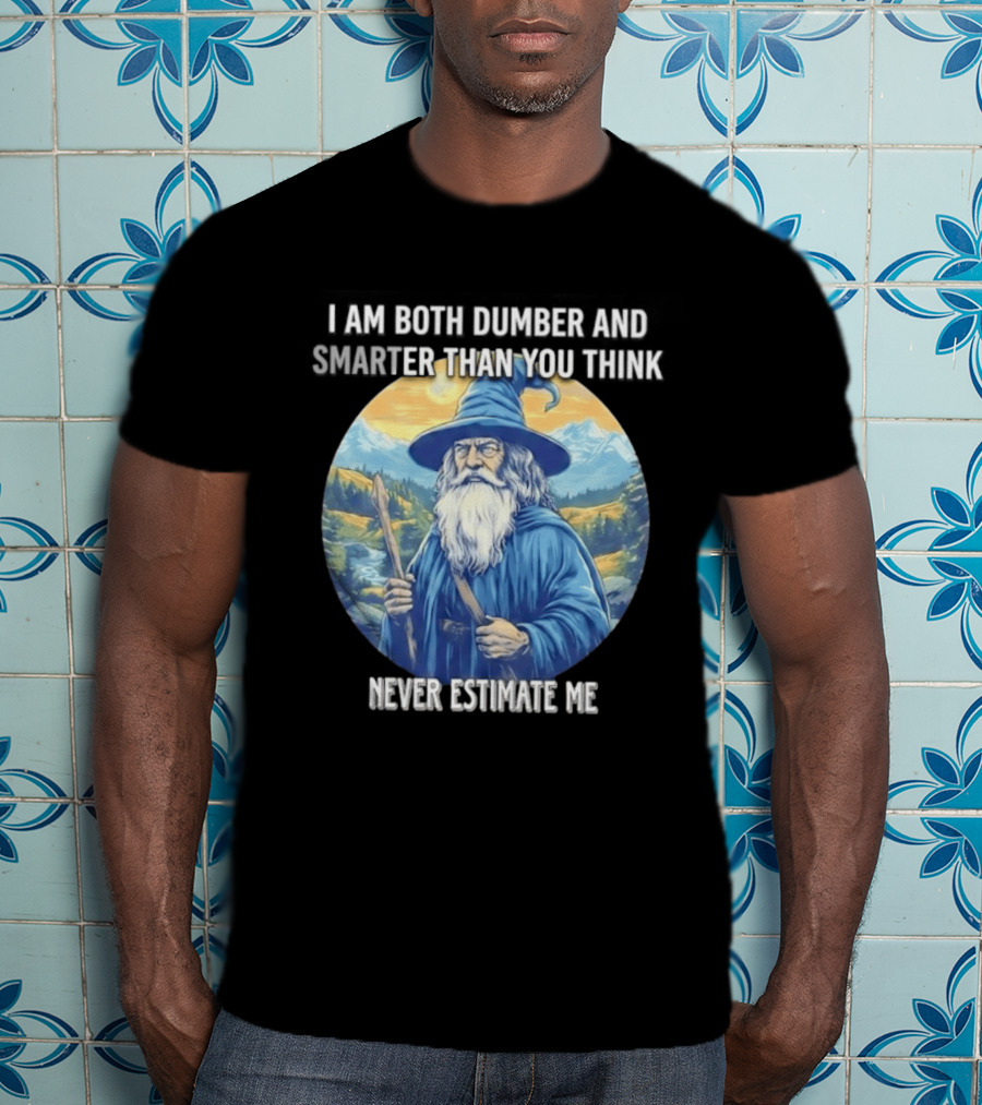 I Am Both Dumber And Smarter Than You Think Never Estimate Me Wizard Blue Robe And Hat Mountain T-Shirt