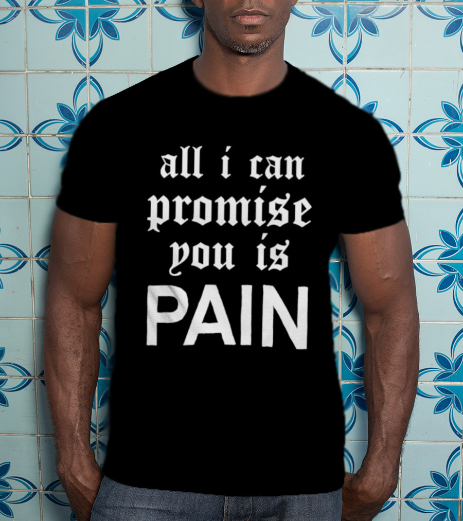 All I Can Promise You Is Pain T-Shirt