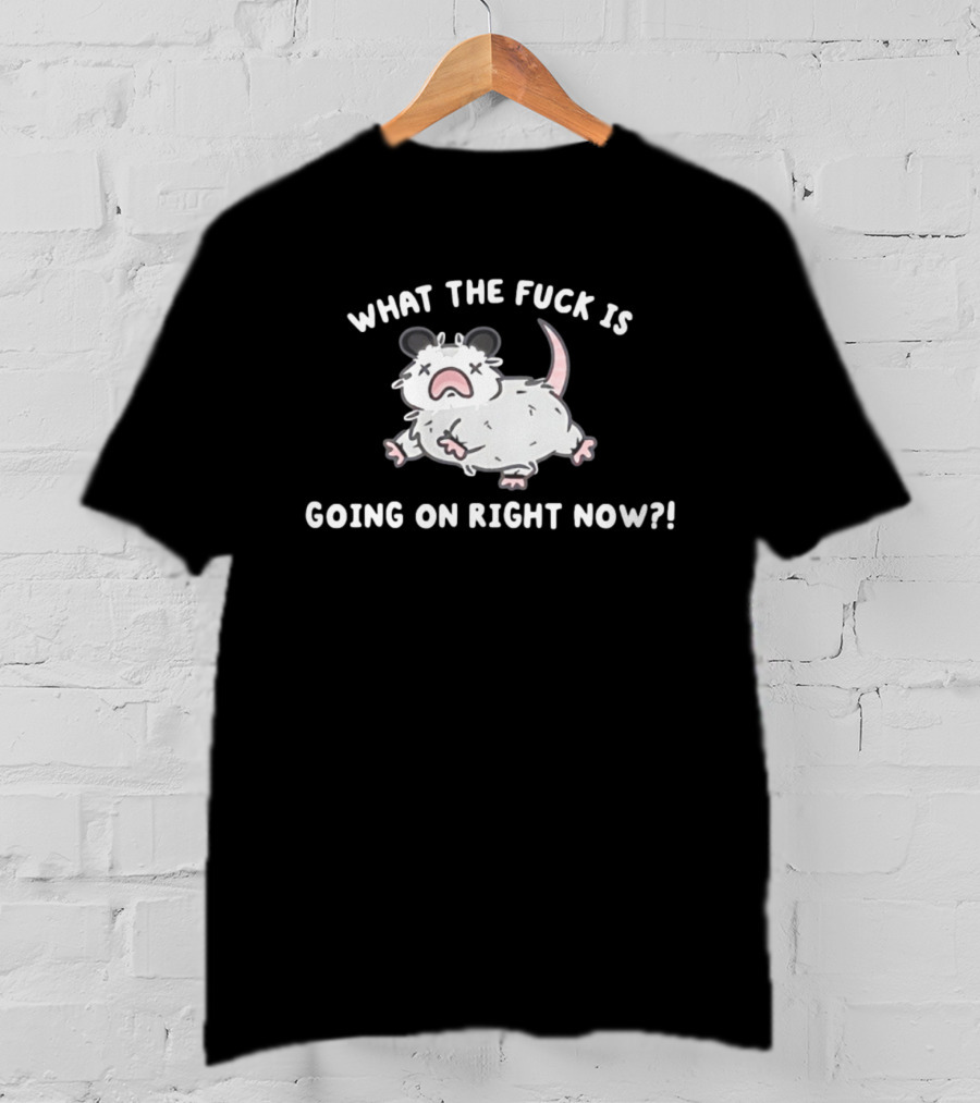 What The Fuck Is Going On Right Now Opossum T-Shirt