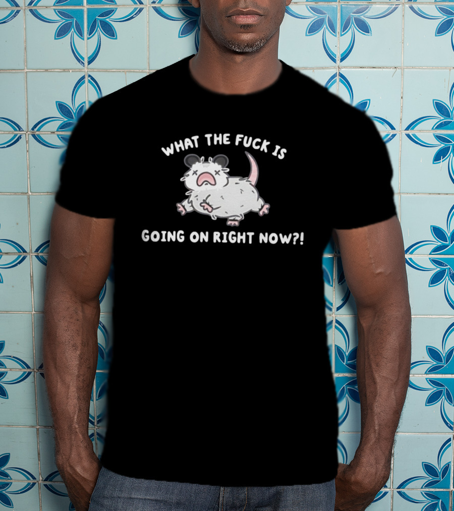 What The Fuck Is Going On Right Now Opossum T-Shirt