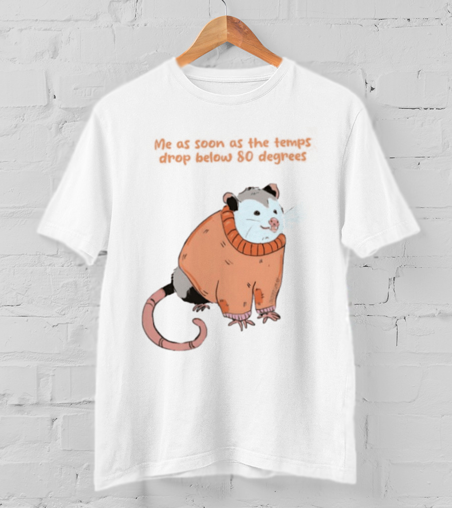 Opossum Cozy Sweater Temps Below 80 Degrees T-Shirt