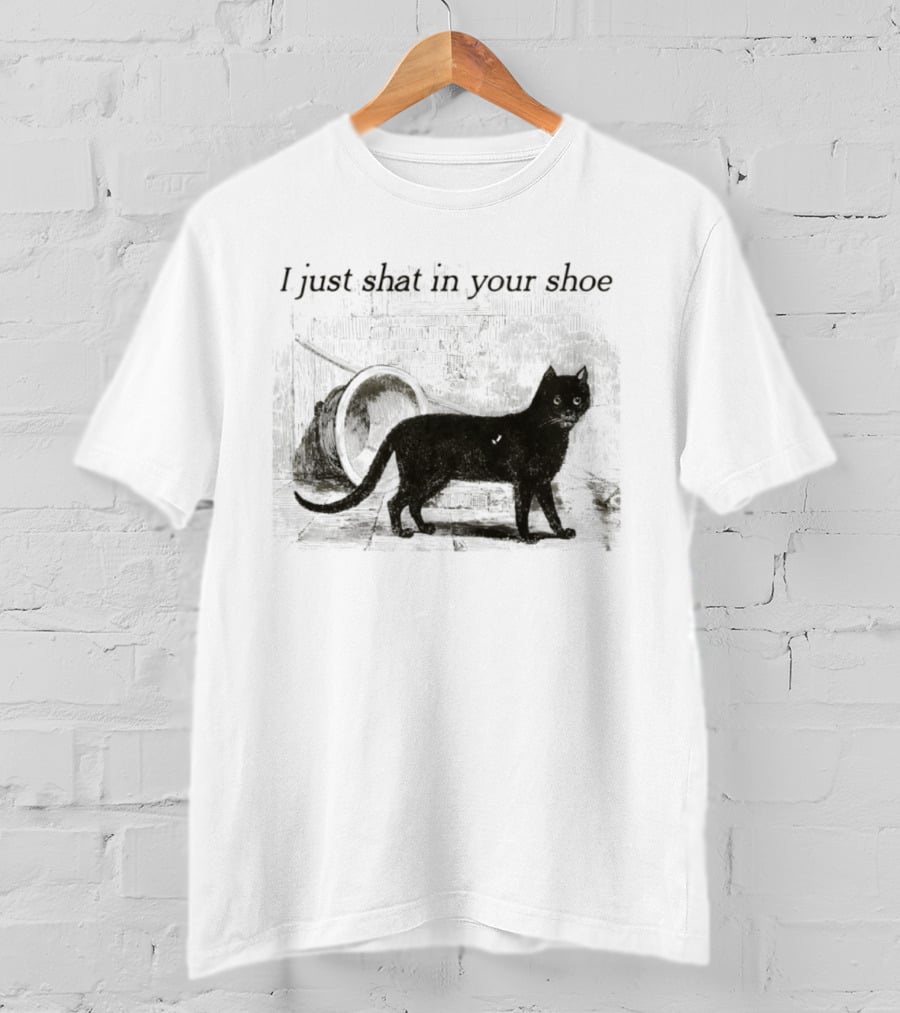 Cat I Just Shat In Your Shoe Silhouette And Litter Box T-Shirt