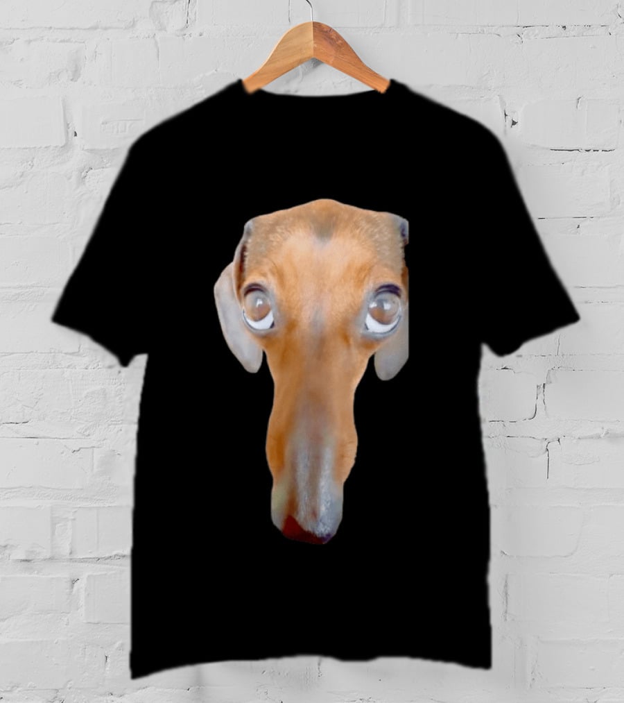 Big Ol Weiner Dog Dachshund Puppy Face Funny Novelty T-Shirt