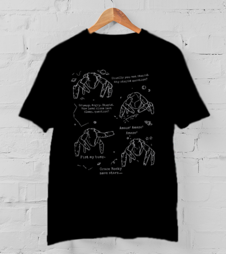 Usually You Not Stupid Why Stupid Question Grace Rocky Save Stars Friends Legendary T-Shirt