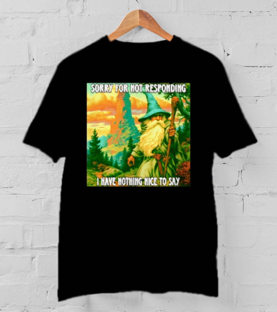 Sorry For Not Responding I Have Nothing Nice To Say Wizard Scene T-Shirt