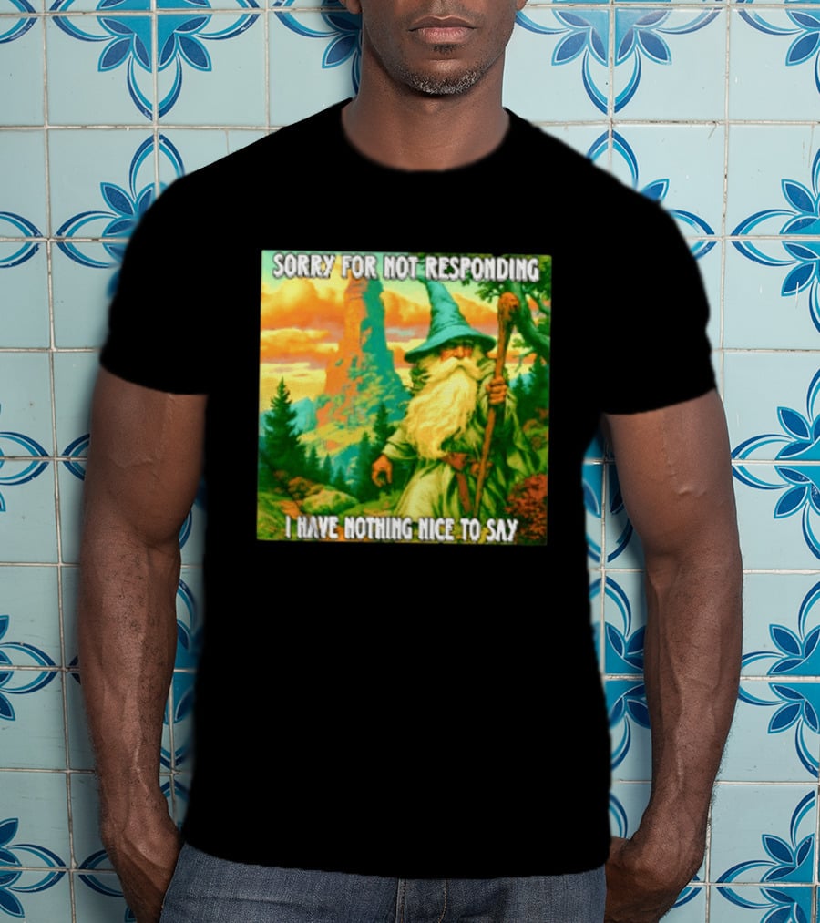 Sorry For Not Responding I Have Nothing Nice To Say Wizard Scene T-Shirt