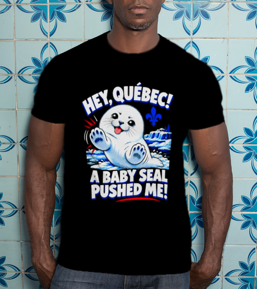 Hey Quebec A Baby Seal Pushed Me Cute Harp Seal Iceberg Splash T-Shirt