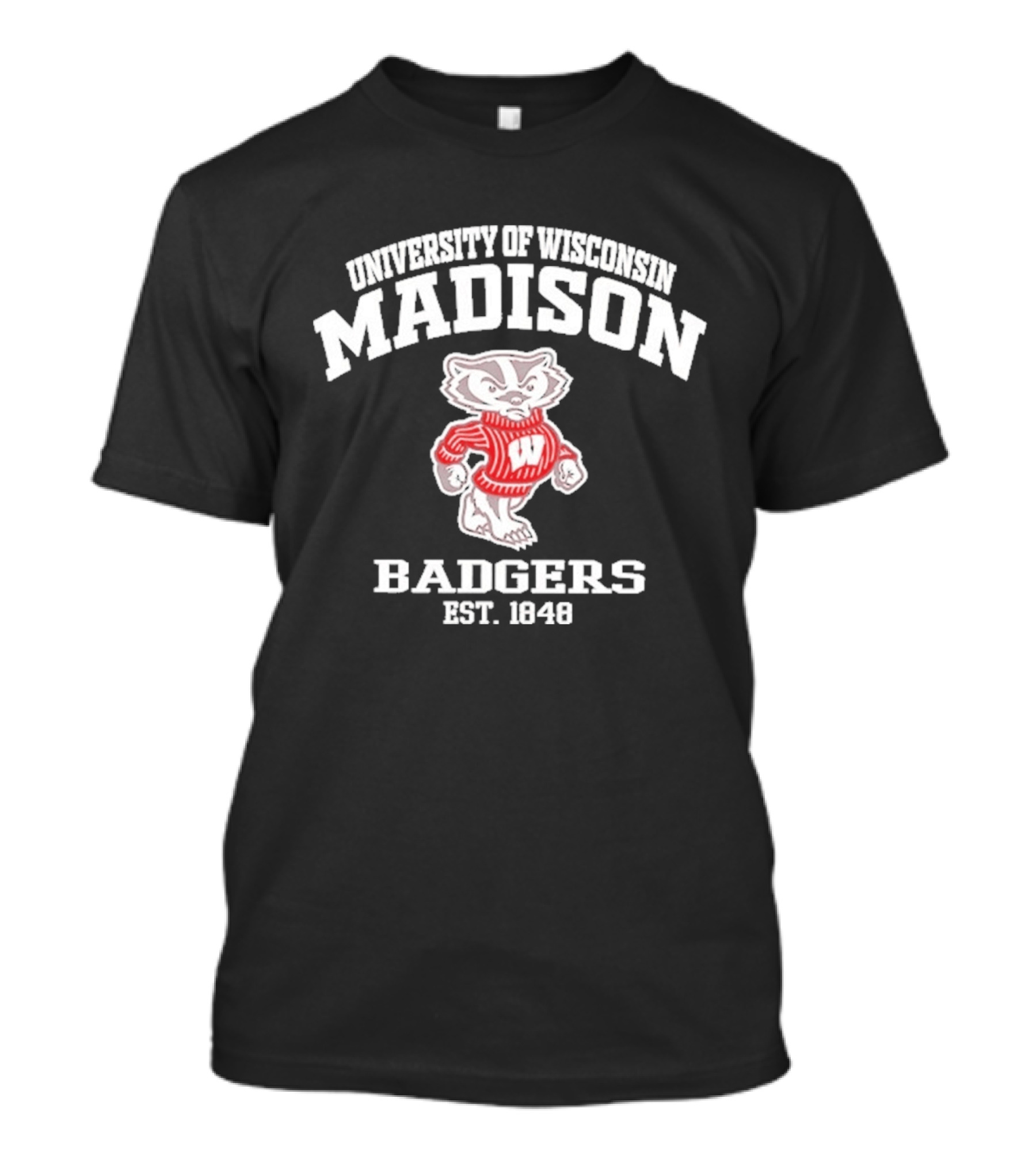 University Of Wisconsin Madison Badgers Est 1848 Vintage Bucky Badger Sweater T-Shirt