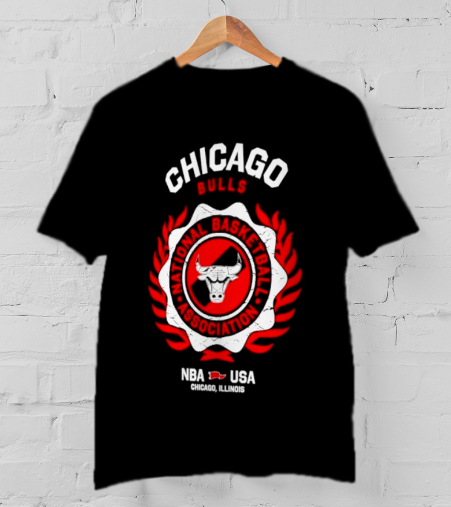 Chicago Bulls NBA USA Central Division Champions Chicago Illinois T-Shirt