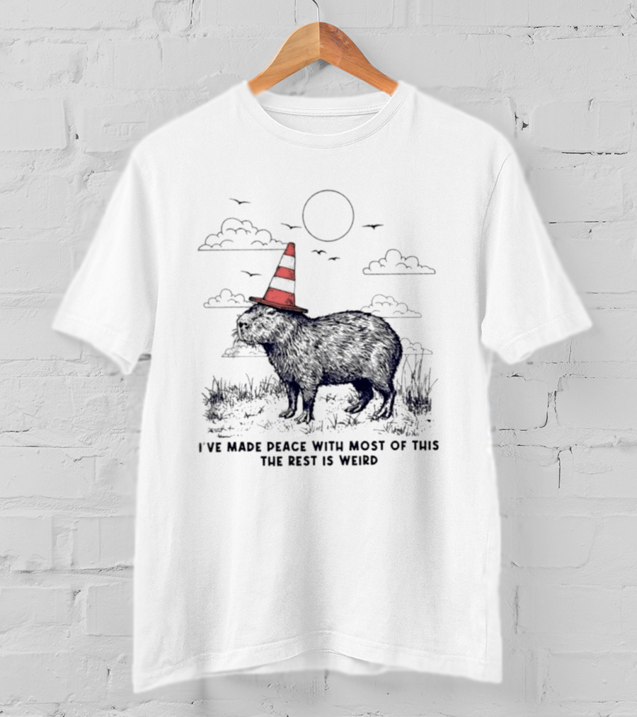 Capybara With Cone Hat Peaceful Yet Weird Scene I've Made Peace With Most Of This T-Shirt