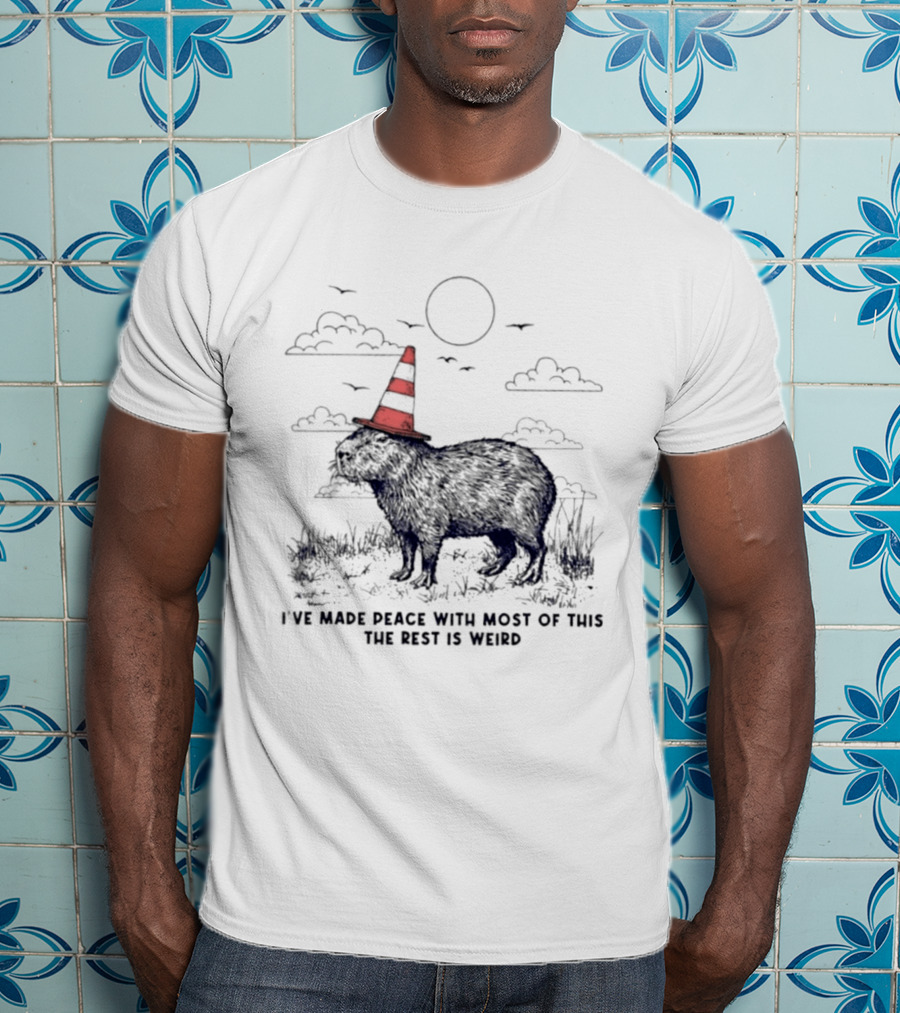 Capybara With Cone Hat Peaceful Yet Weird Scene I've Made Peace With Most Of This T-Shirt
