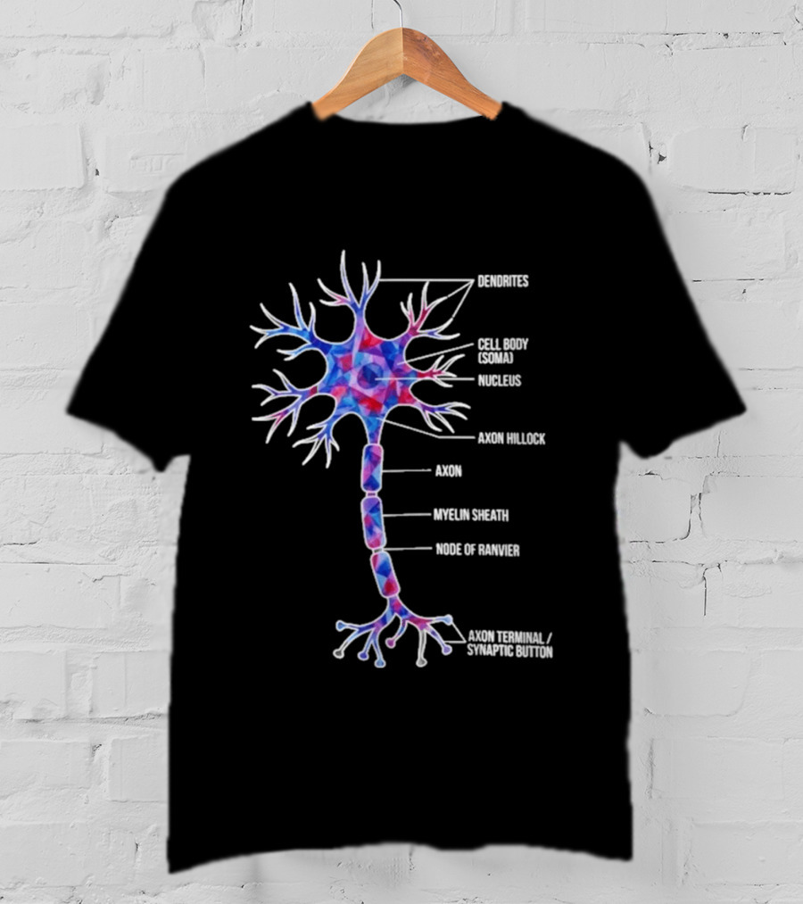 Dendrites Cell Body Soma Nucleus Axon Hillock Axon Myelin Sheath Node Of Ranvier Axon Terminal Synaptic Bouton T-Shirt