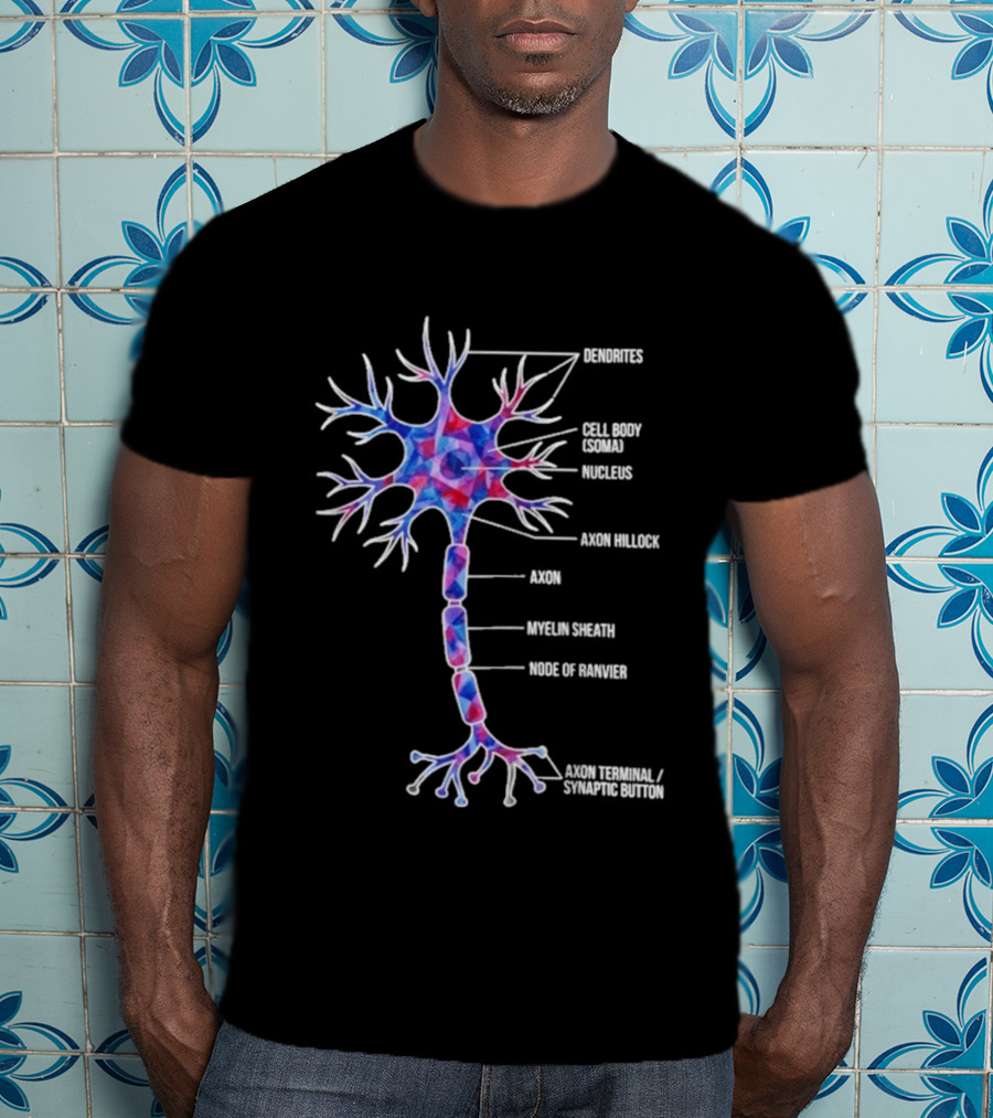 Dendrites Cell Body Soma Nucleus Axon Hillock Axon Myelin Sheath Node Of Ranvier Axon Terminal Synaptic Bouton T-Shirt