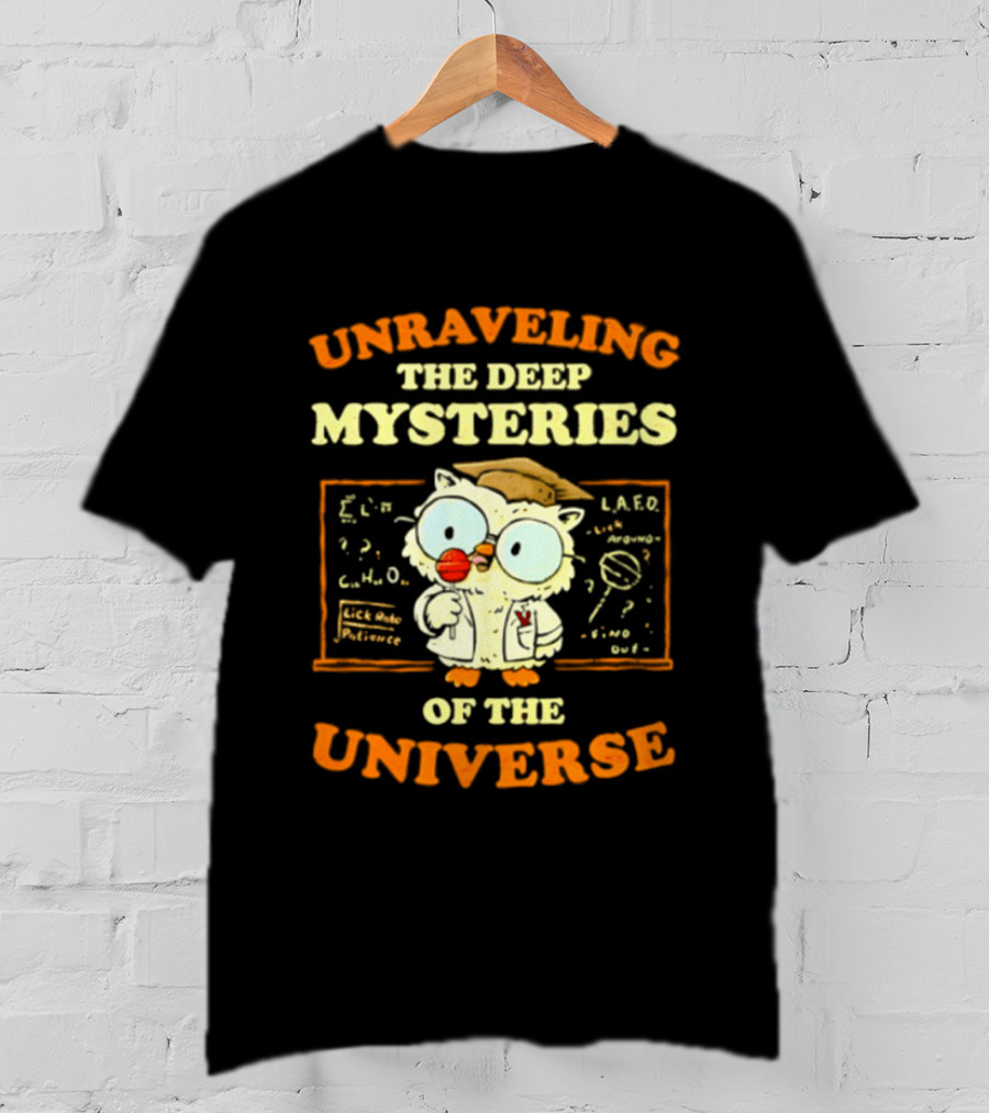 Unraveling The Deep Mysteries Of The Universe Owl With Chalkboard And Equations T-Shirt