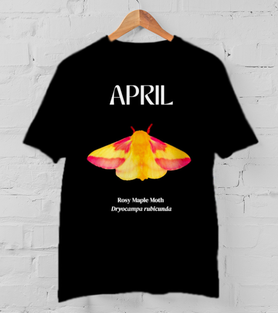 April Rosy Maple Moth Dryocampa Rubicunda Vibrant Yellow Pink Insect T-Shirt