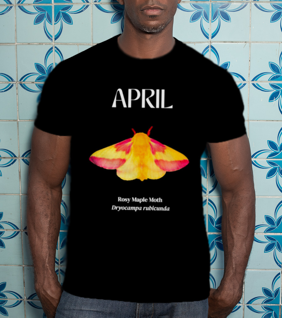 April Rosy Maple Moth Dryocampa Rubicunda Vibrant Yellow Pink Insect T-Shirt