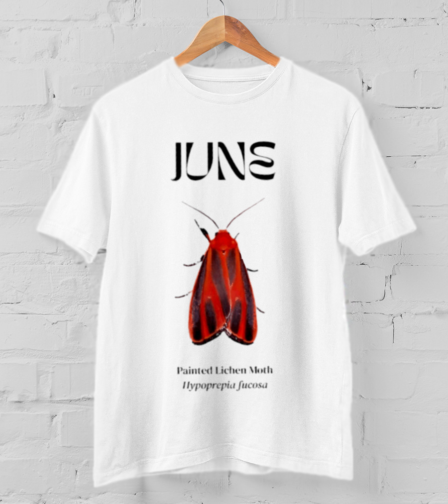 June Hypoprepia Fucosa Painted Lichen Moth T-Shirt