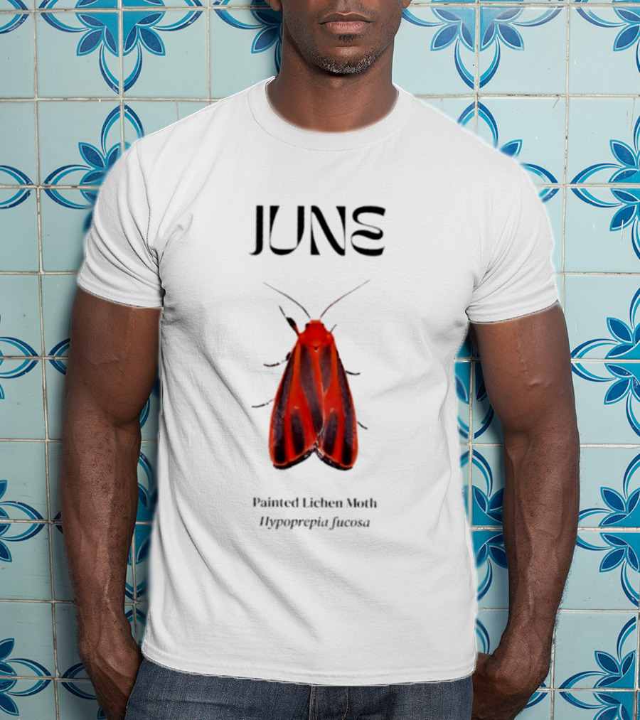 June Hypoprepia Fucosa Painted Lichen Moth T-Shirt