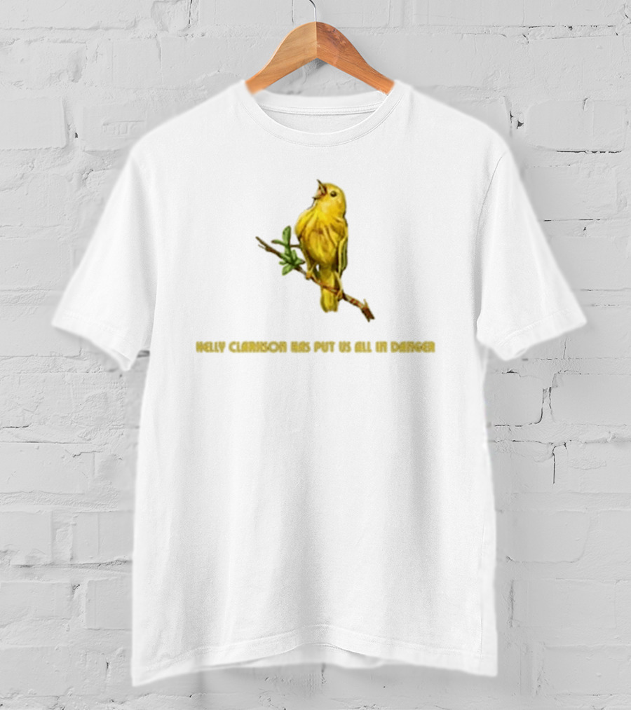 Kelly Clarkson Has Put Us All In Danger Molly Bird T-Shirt